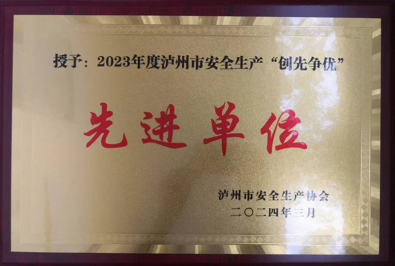 2023年度瀘州市安全生產(chǎn)“創(chuàng)先爭優(yōu)”先進單位(圖1)